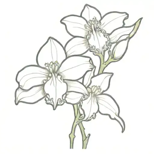 Cattleya Orchid Flower