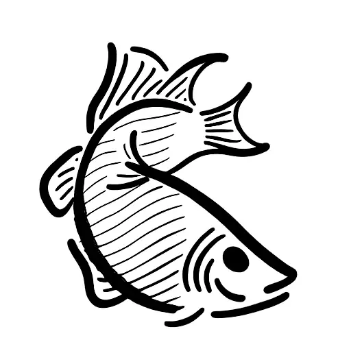 A Fish Jumping Out Of Water