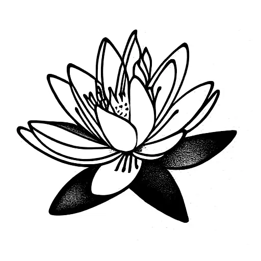 Honeysuckle And Water Lily