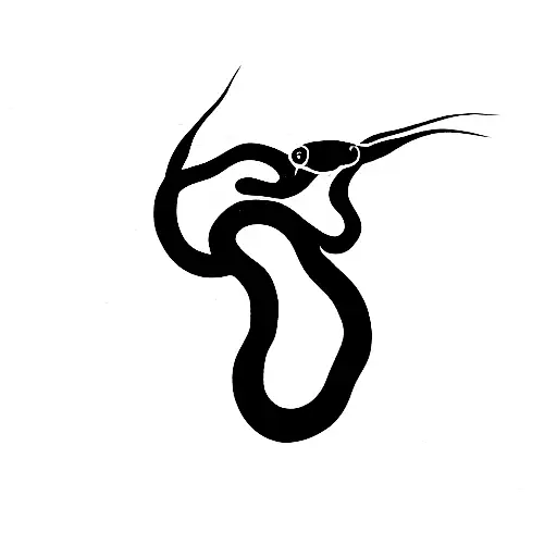 Ball Python Black And Red