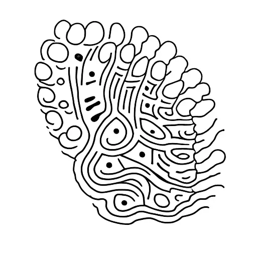 Footprints Alongside Horse Hoof Prints Slowly Fading As The Footprints Continue