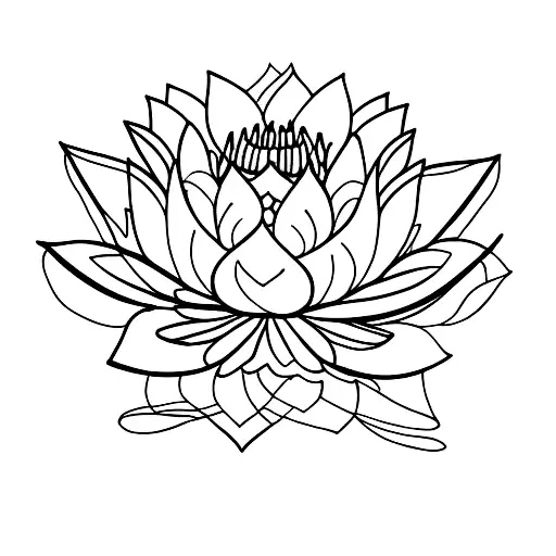 Lotus Flower