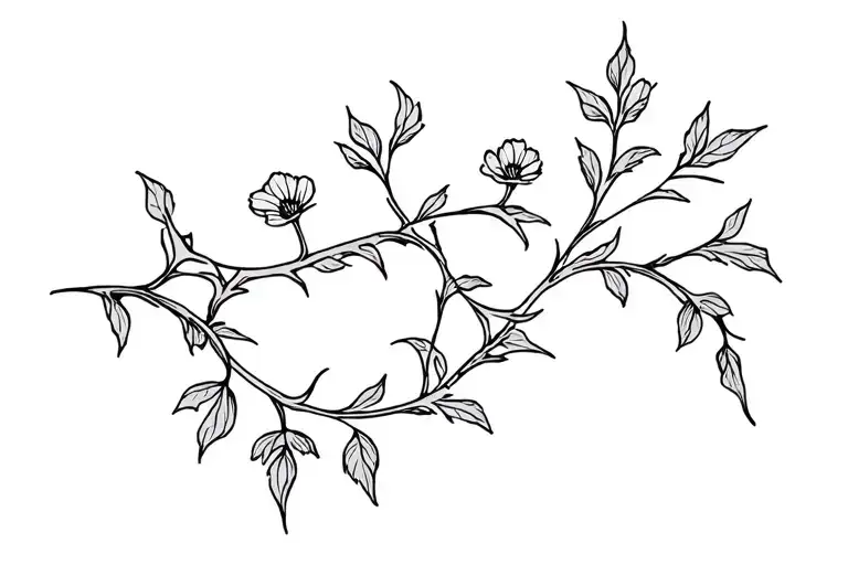 Hawthorn Vine With Thorns And Flowers