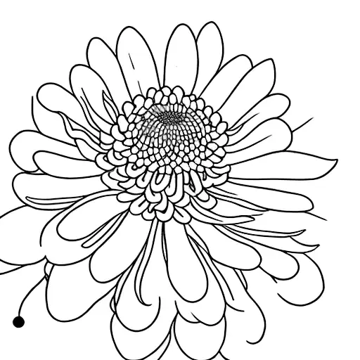 Chrysanthemum And Lily Of The Valley Minimalist