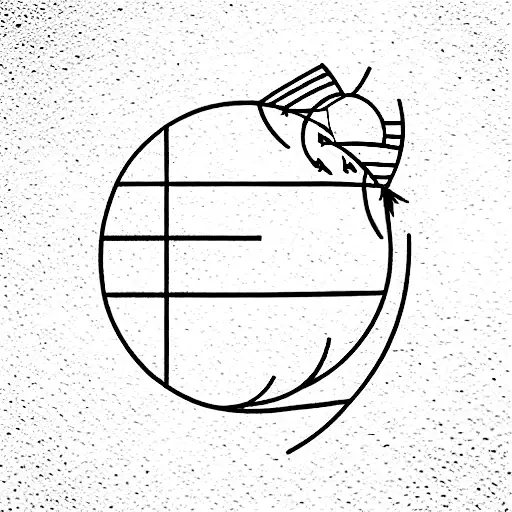 Coordinates And Volleyball