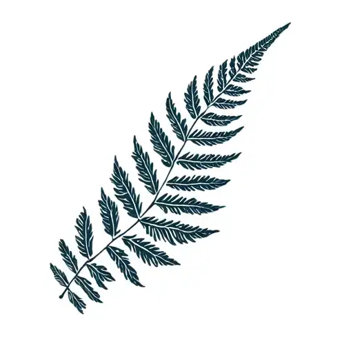 Old Key And Silver Fern Leaf