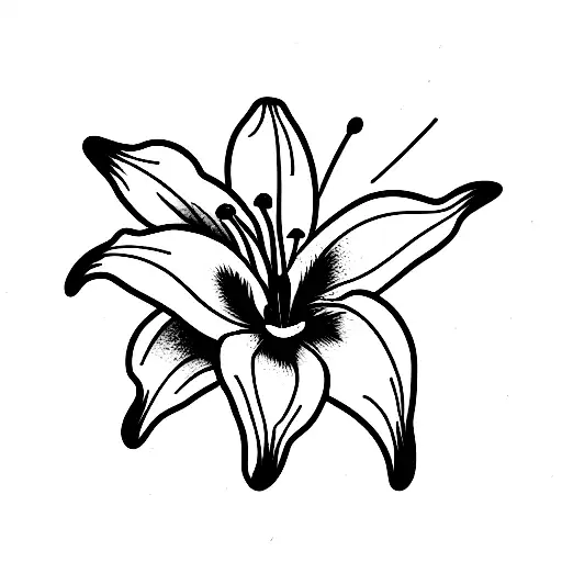 Line Art Asiatic Lily