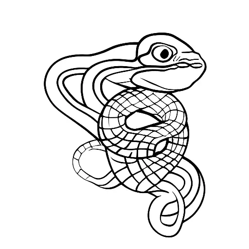 Snake Wrapped Around A Stick