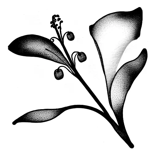 Lily Of The Valley & Hawthorn