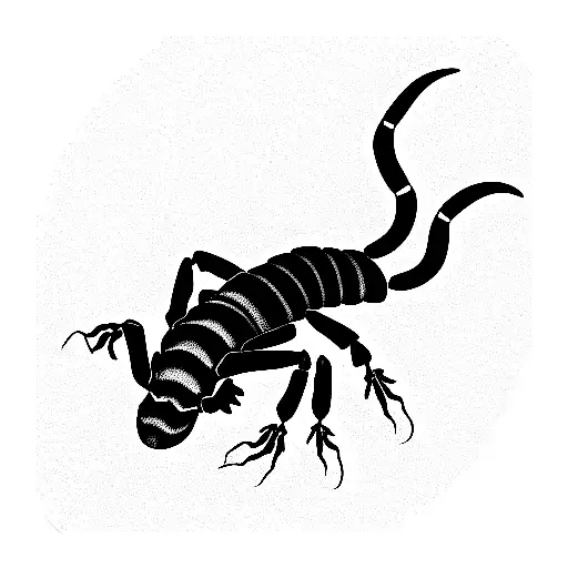 Halloween Scorpion