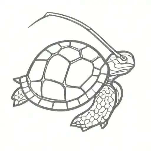 Turtle Hockey