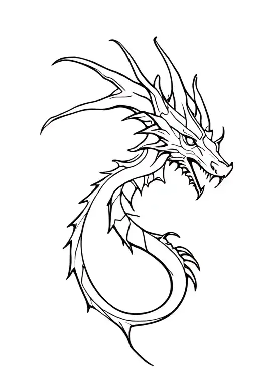 Squelette Dragon Wrapped