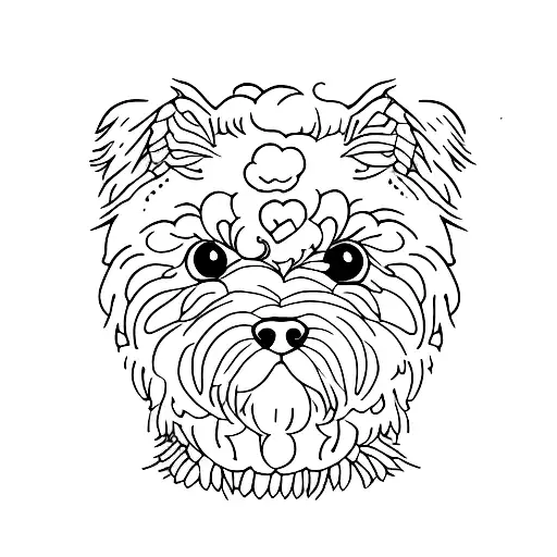 Small White Fluffy Dog