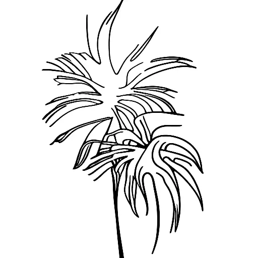 Palm Tree Combined With Aries