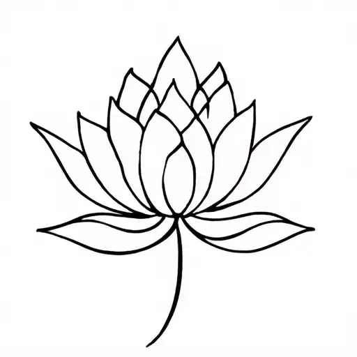 Lotus Flower Open Bloom