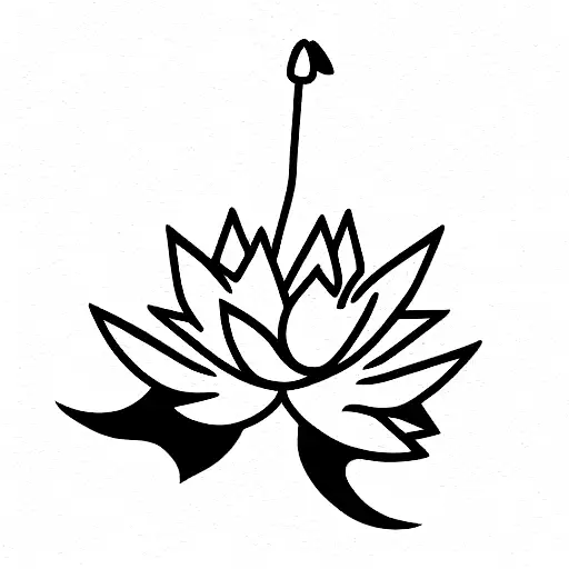 Lotus Flower And Airplane And Maple Leaf