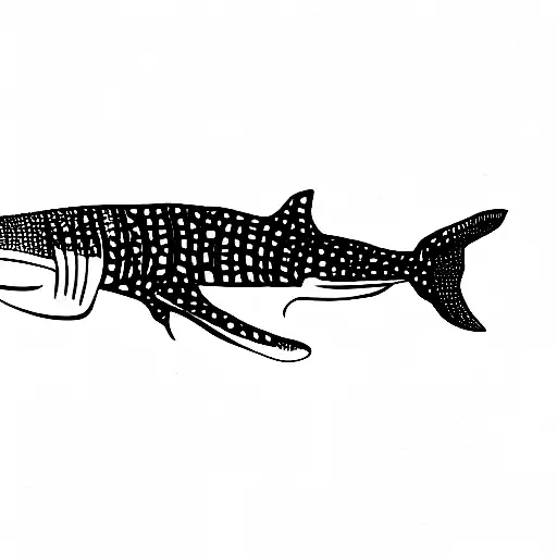Fine Line Whale Shark