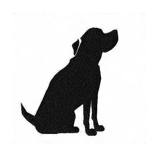 Dog And Women Back Sat Silhouette