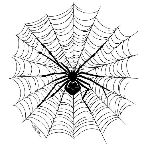 Spider With Web