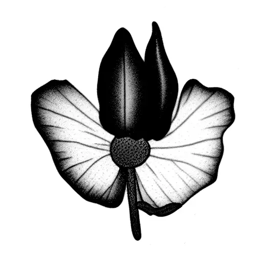 Texas Blue Bonnet Flower