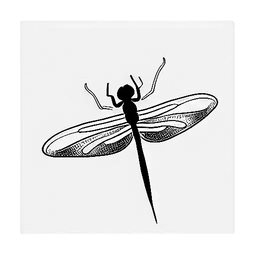 Dragonfly With Letter V