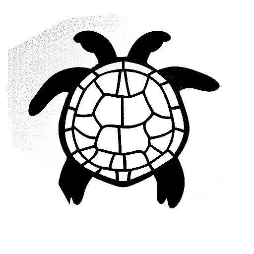 Turtle Seen From Above Inside A Prism Glass