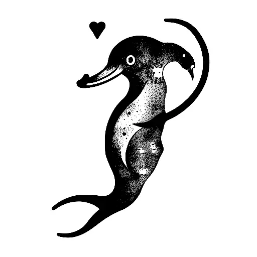 Cancer Zodiac Dolphin