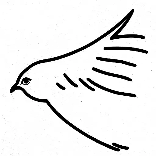 Dove