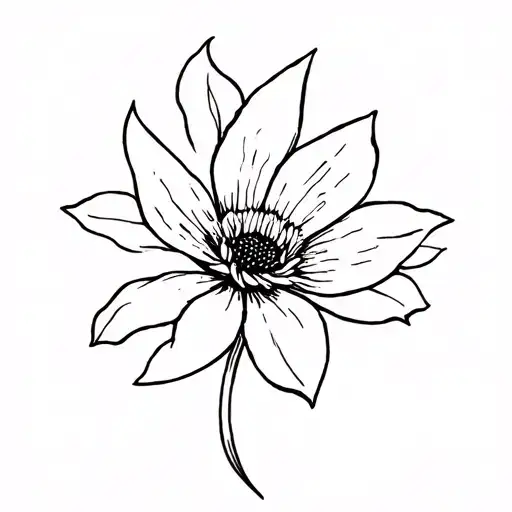 Black Dahlia Flower Simple Line With No Stem