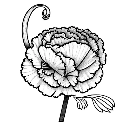Carnation With A Cardinal