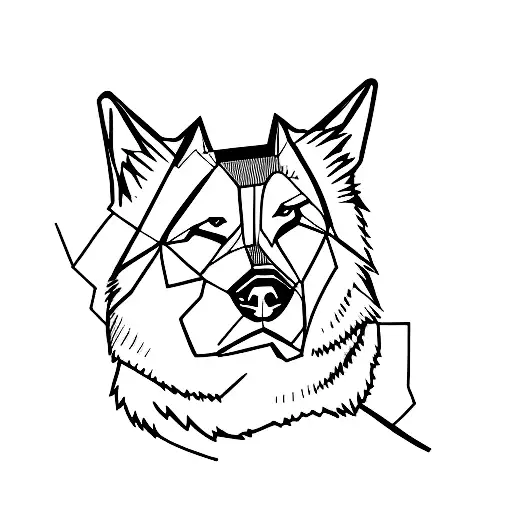 Husky Dog In Mountains With Itsowner