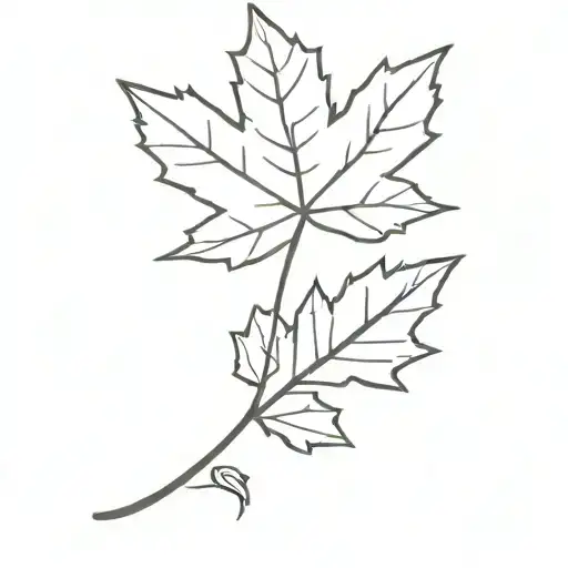 Maple Leaf With A French Beret On Top Hat