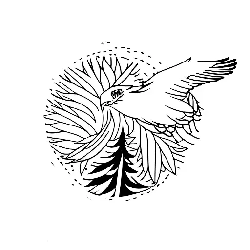 Small Eagle Flying Over Pinetrees