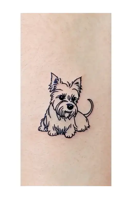 Cairn Terrier Stumpy Ear Up One Ear Down