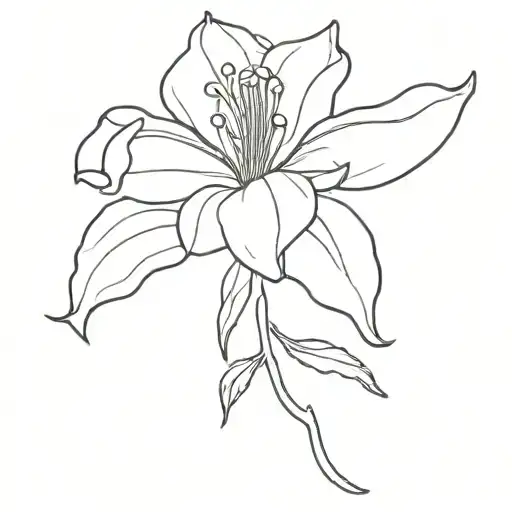 Single Fuchsia Flower Fine Line West Cork