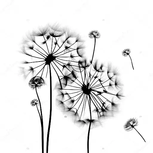 Dandelion