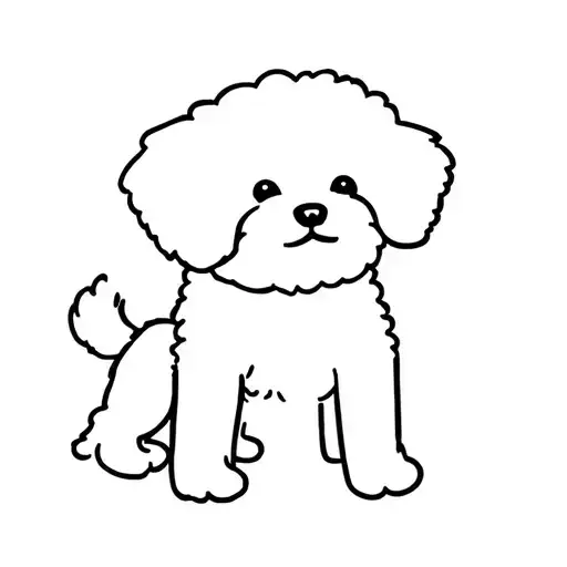 Bichon Dog Friend