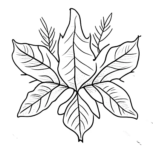 Leaf With The Name Moses