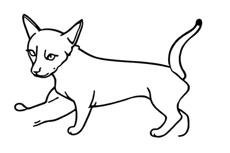 Mini Teckel With Abyssin Cat