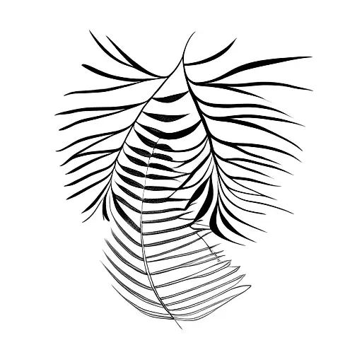 Fern Leaf Silhouette