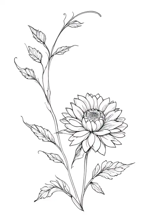 Chrysanthemum Abstract Fine Line