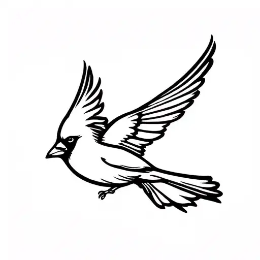 Outline Of Flying Cardinal