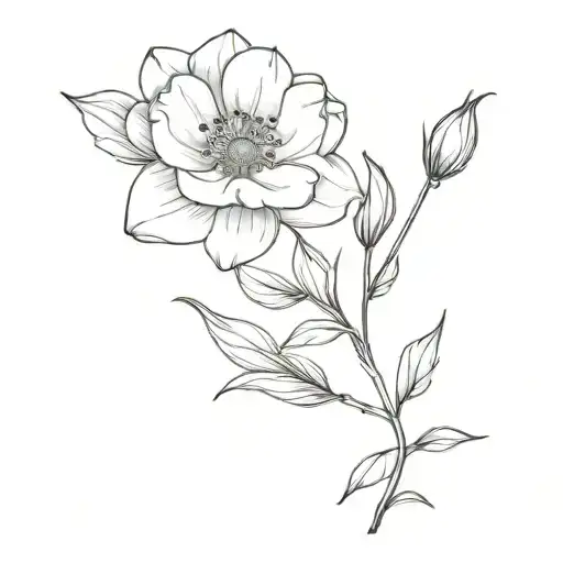 July August September Birth Flower