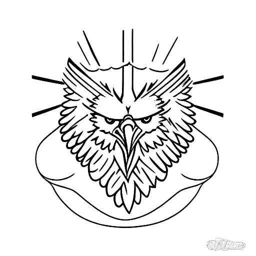 Eagle Mid Air Attack