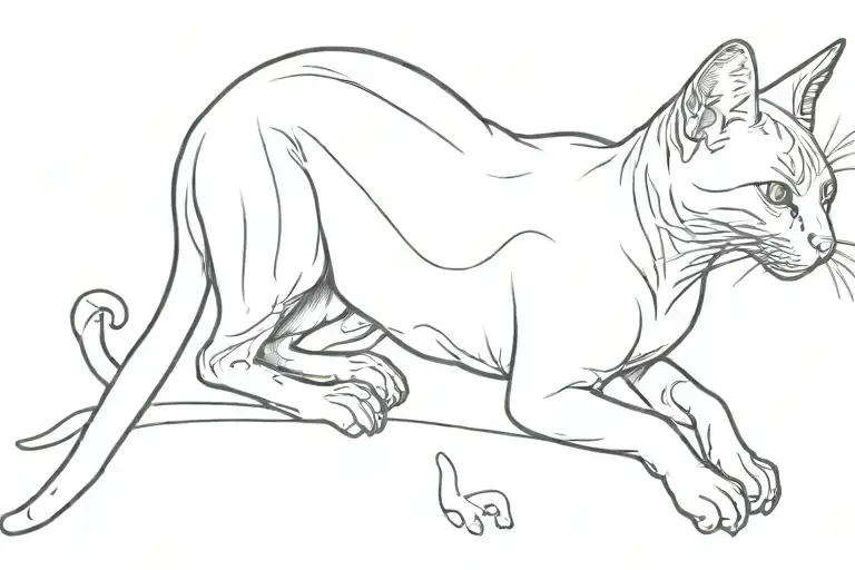 Hairless Cat Sitting