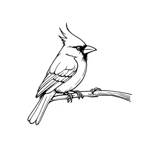 One Line Bird Cardinal