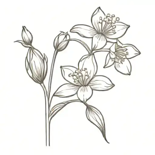 Lily Of The Valley Cosmos Snow Drop Water Lily