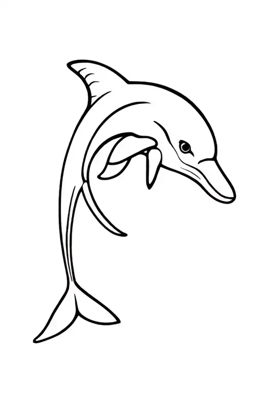 Dolphin