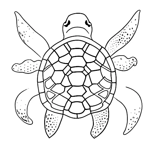 Turtle And Ray Swimming Together