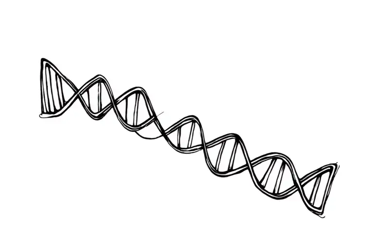 Dna Double Helix Forming